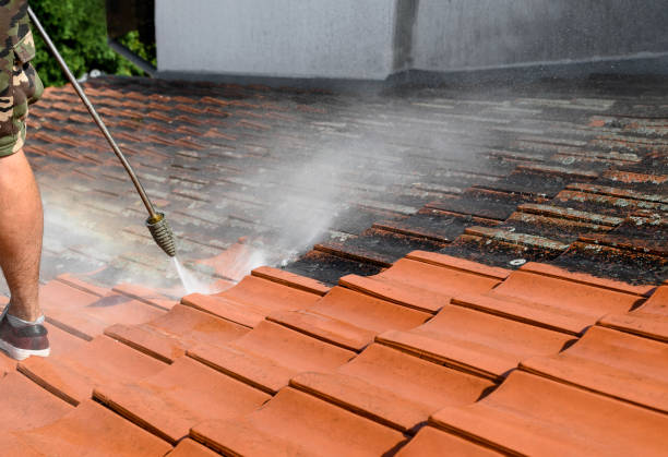 Trusted Maywood, IL Pressure Washing Experts